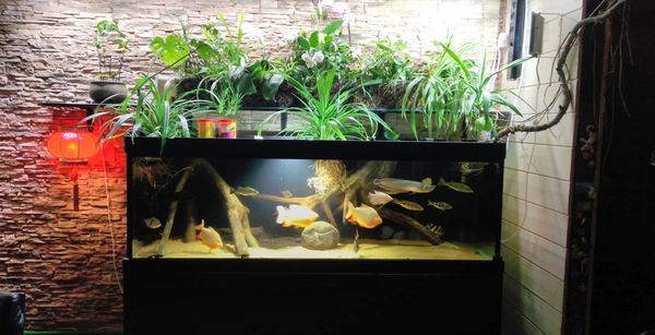 ��������� � ��������� - �������� ������ ��������