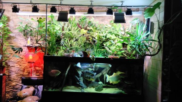 ��������� � ���������, ������� - 1 ���