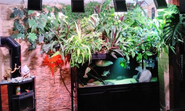 ����������� ������� � �������� ������ ����� ������� ����