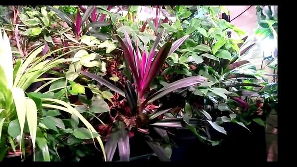 ����������� ������� � ���������� ��������� - ��� ����