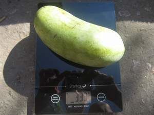 ���� ������� ����� Grin River