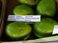 ������� ����� ������