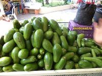 ���� ������� �������� � �������