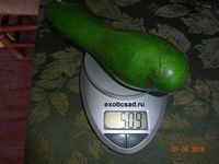 ���� ������� ������� - ��� �����