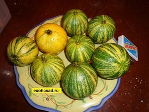 �������� ����� �������� �����������