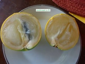 ���� ���� � �������.