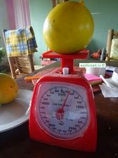 ��� ����� ����.