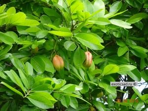 ��� �� ������.