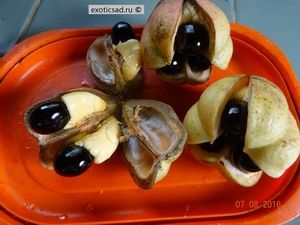 ��� ������ �� ������.