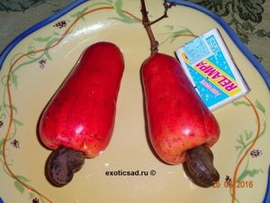 ������� �����