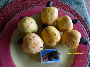 ����� � ������ �������