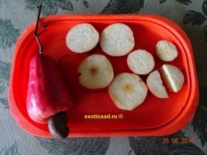 ������ ����� � �������