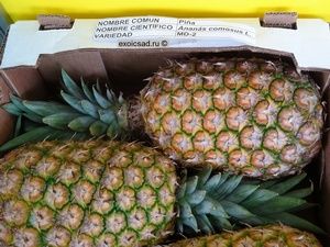 ���� ������� MD-2.