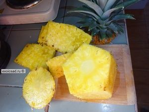 ������ � �������.