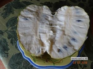 ���� ������ ������� � �������