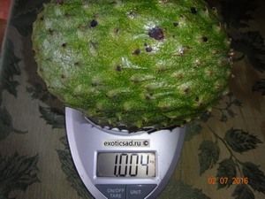 ��� ����� ������ �������