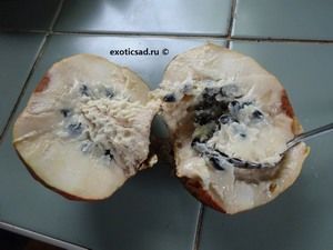 �������� ������ � �������