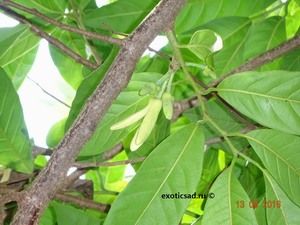 ������ ������ ��������