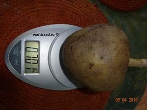 ��� ����� ������ ��������