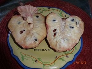 ����� ������ �������� � �������.