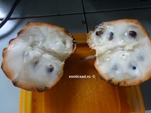 ���� ������ ���������� � �������.