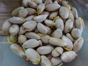 ��������� ������ ���������