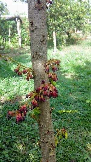 ����� �� ������ ������ �������.