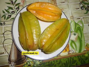 ��� ����� ���������