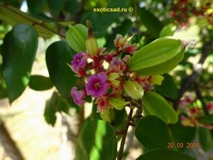 ����� � ������ ���������