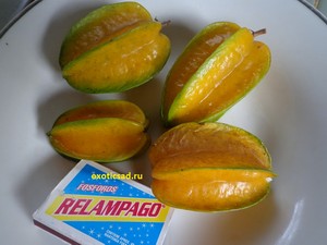 ������ ������ ���������� ���������