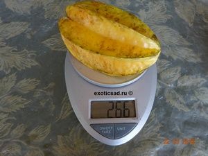 ��� ����� ���������