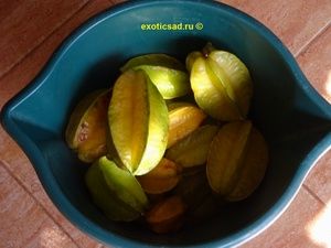 ������ ���������