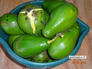 ������ ������ �������.