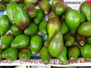 ���� ������� ����.