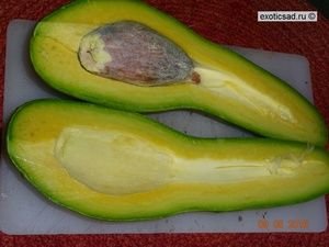 ���� ������� ������ - � �������.