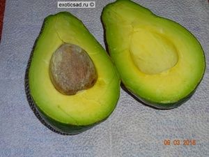 ���� ������� �����-34 - � �������.