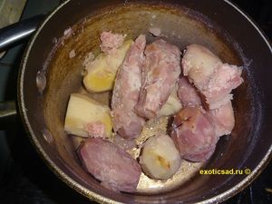 �������� ����