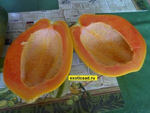 ������ ����� ��������� ����