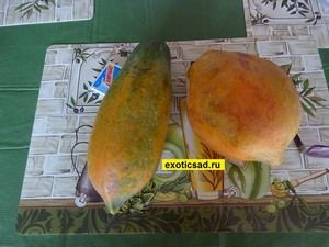 ������ ������ ������� � ���������