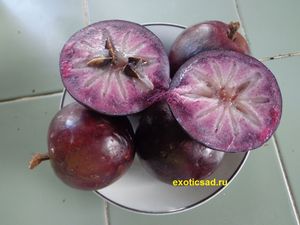 ������� ����� ������