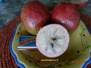 ������� �������������