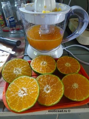 �������� �������