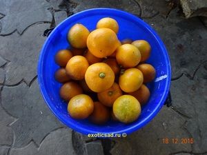 �������� ������