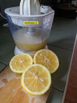 ��� ��������� ����� ������� ����