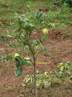 �������� ����� �������� ������