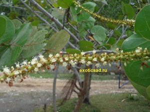 �������� ����� ��������� �����������