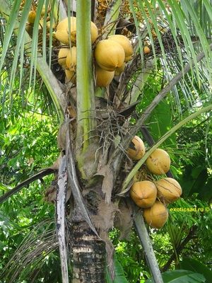 ��������� ����� �� ���������� �����