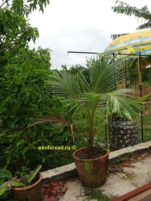 ���������� ����� ��������� ������ � ������