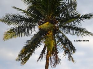 ������ - �������� ��������� ������