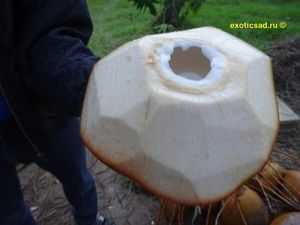 ������ � ����� ��������� ������